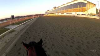 Millionreasonswhy: EquiSight Jockey Cam Ride the Race with Sagamore Racing