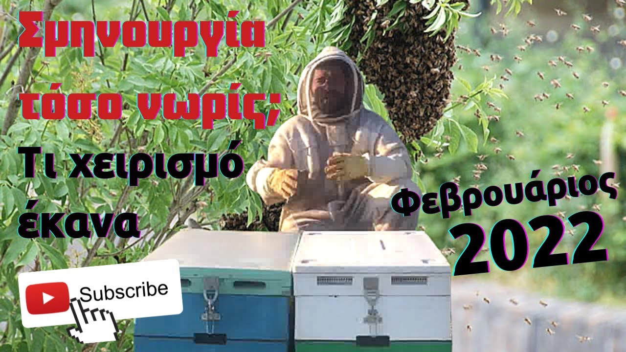 Απίστευτο σμηνουργία μελισσιού πριν βγει ο Φεβρουάριος τι έκανα και πια είναι η εναλλακτική