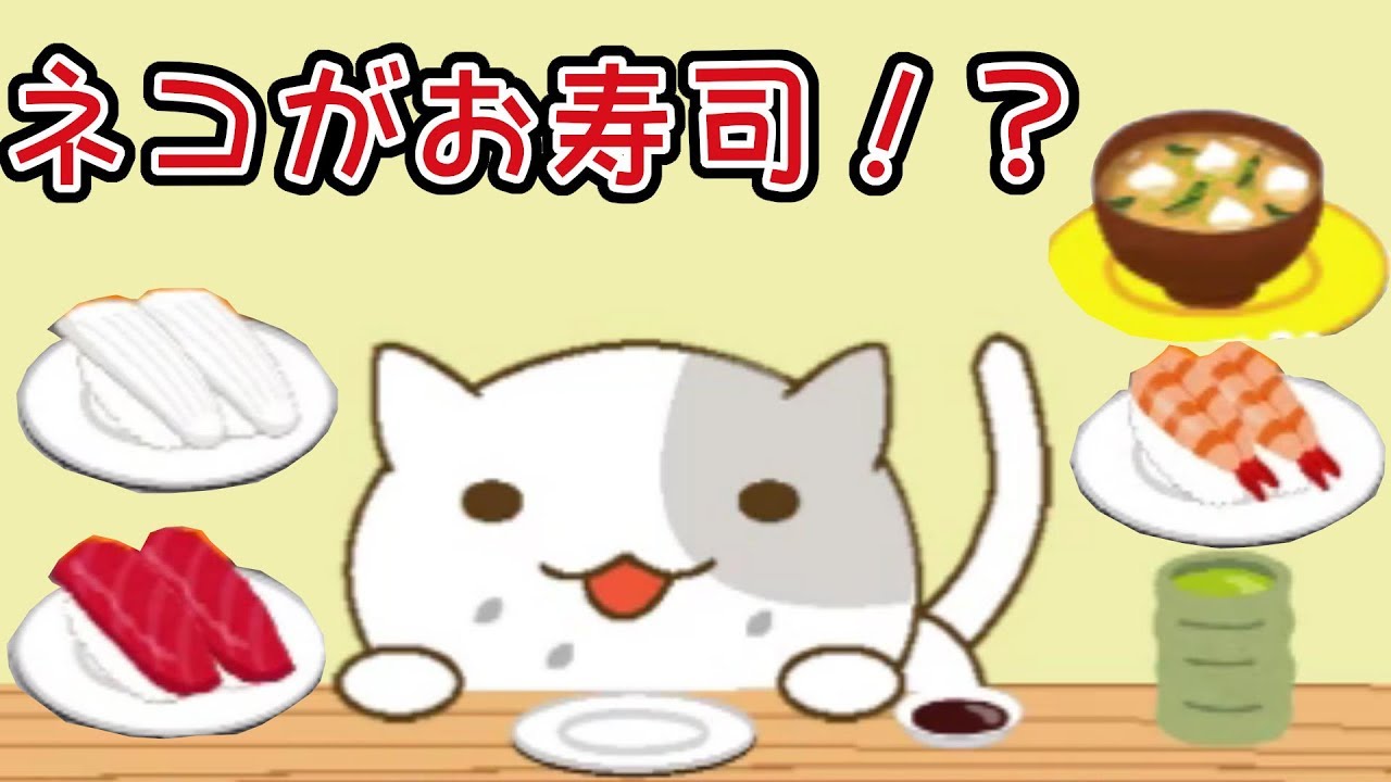 ねこすし 寿司が好きすぎる猫が可愛い アプリ Youtube