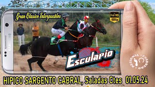 ESCULAPIO-Gran Clasico de Potrillos- Hipico Sargento Cabral- Saladas Ctes- 01.05.24