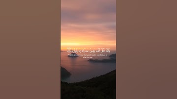القرآن الكريم سورة (الحجر) الاية (٩٥) انا كفيناك المستهزئين