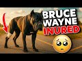Bruce Wayne's Heartbreaking Injury He Can't Even Walk 😢