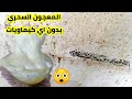 وداعاً دهون حائط المطبخ/رسالة جوه الفيديو للقنوات الكبيره اللي عايزه تدوس علي اي قناة صغيرة مجتهده