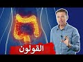 ٩ أشياء تساعد في علاج القولون