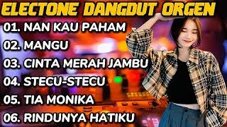 DANGDUT NAN KAU PAHAM MANGU CINTA MERAH JAMBU SETECU STECU TIA MONIKA - ELECTONE TUNGGAL DANGDUT