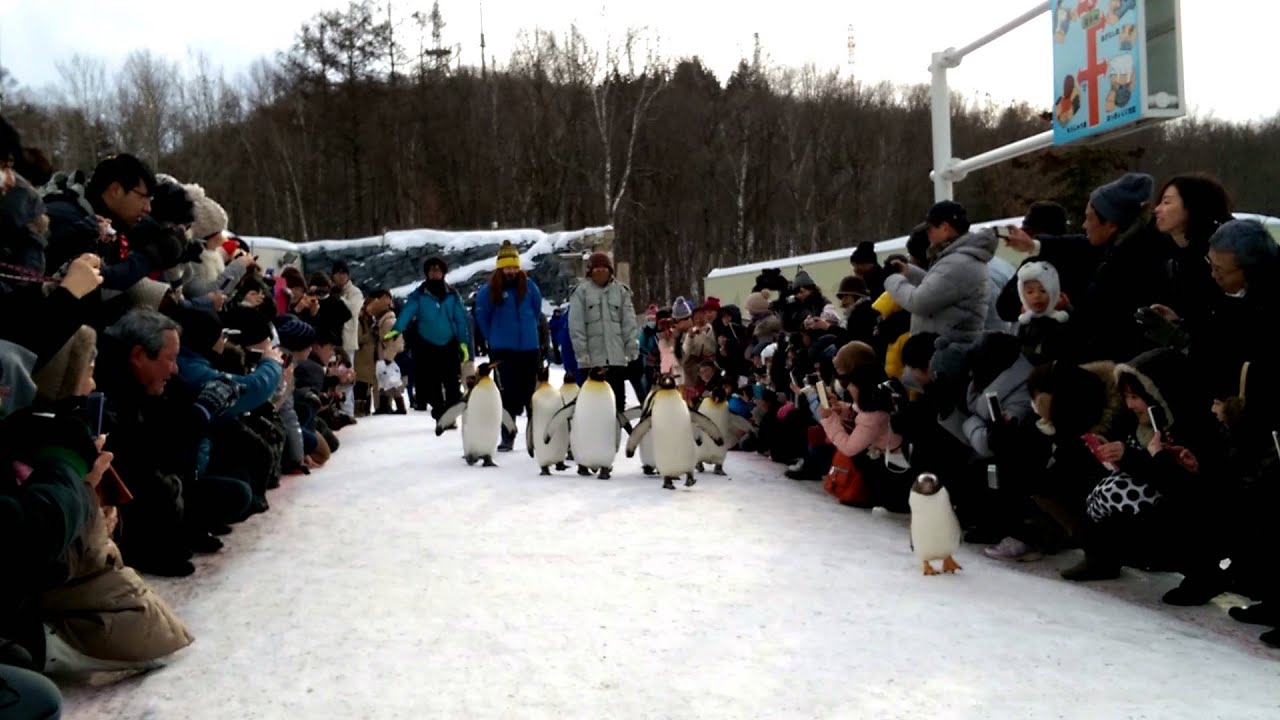 冬天北海道好好玩1507 21 冬天北海道好好玩1507 21