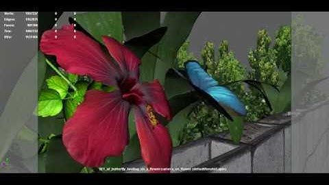 maya playblast butterfly animation