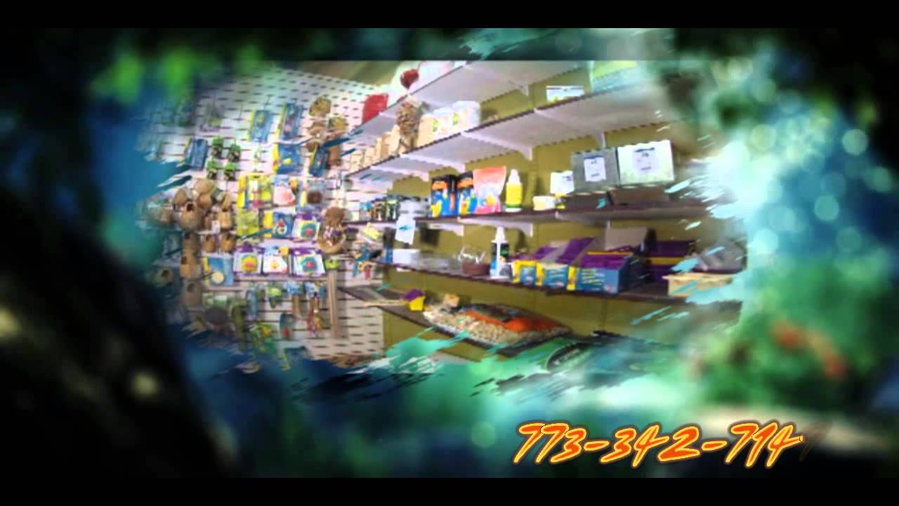 Jules Pet Store TV Spot
