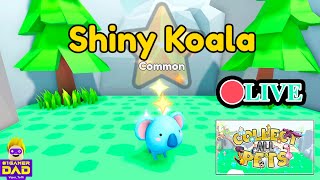 How to get Shiny Pets and in to Grotto 💰 Collect All Pets 🥇 Roblox 