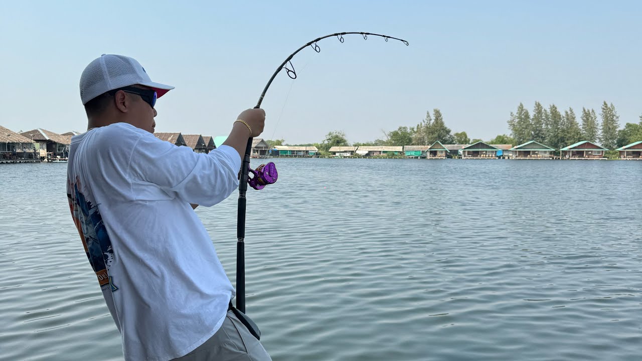 jigging master three kings pe3-6