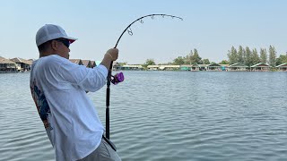 jigging master three kings pe3-6