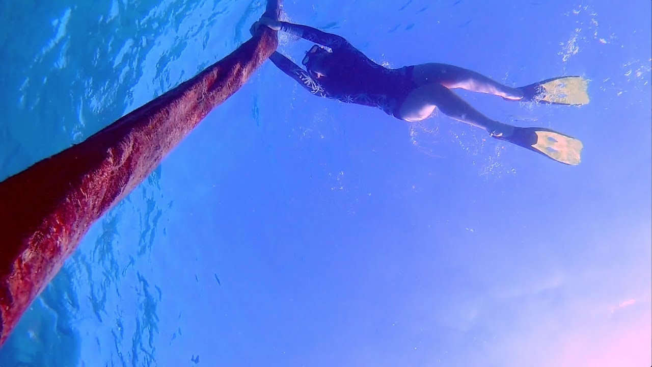 Discovering why Costeau loved the Caribbean - Vlog 61