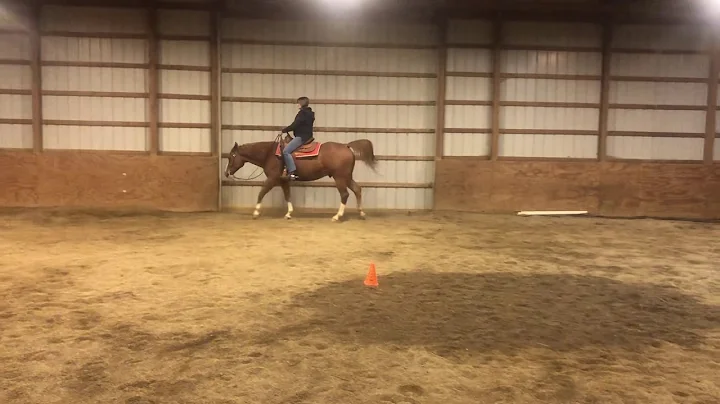 Lila Horner & Docs Lopin Image #245, Novice WT