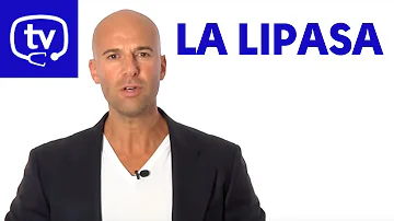 ¿Afecta el azúcar a la lipasa?