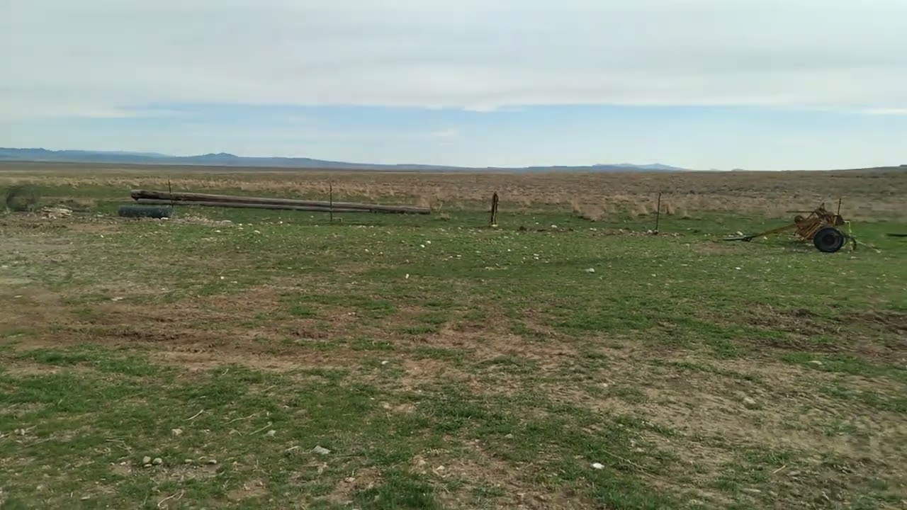 Spring farm work 🚜