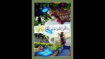 سورة البقرة الآية ( 223 )