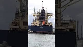 Msc Kayla On Dry Dock