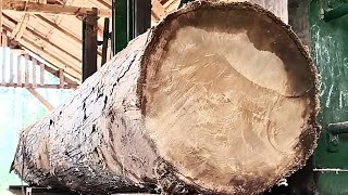 Download Lagu FANTASTIC! HUNDREDS OF YEARS OLD TEAK, ALL FIBERS (GALIH) MADE INTO LUXURY BOARDS MP3