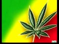 Yo Fumo Marihuana Desde Los 14 YouTube
