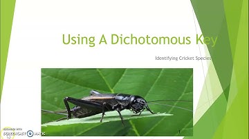 University of New England Bio 105 Lab: Exercise 1 Dichotomous Key