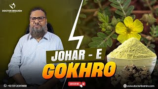 Johar-e-Gokhru | Mardana Taqat Ka Asli Formula by Dr Ibrahim | Male Weakness Ka Herbal Ilaj