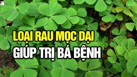 5 món canh trị bệnh từ RAU BỢ mà nhiều người Việt không biết | Cuộc Sống Hạnh Phúc