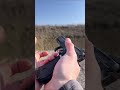 Cz 75 sp01 shadow  9mm cz shadow1