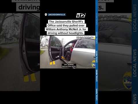 Sheriff backs officer punching driver during Florida traffic stop