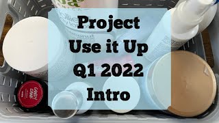 Project Use it Up Q1 Intro // NonMakeup Project Pan