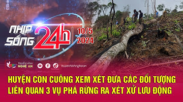 Bản tin Nhịp sống 24h - 10/05/2024