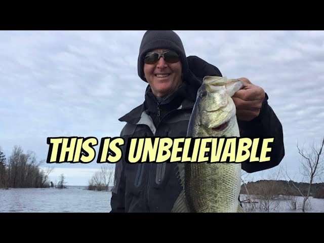 3 Truths About Bass Most Anglers Can't Accept 