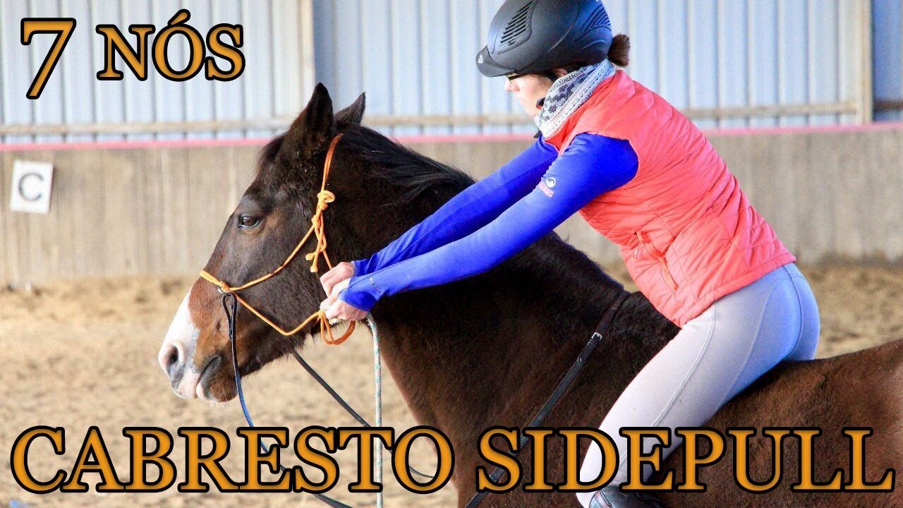 CABRESTO / BUÇAL - Como Fazer ?!  (Sidepull)