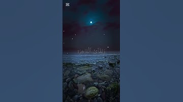 تلاوة جميلة ياسر الدوسري #قران_كريم