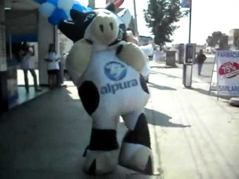 vaca alpura bailando cow dance amazing.mp4