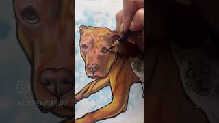 A little piece of this pet portrait 💛🐾