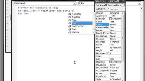 tutorial como poner contraseña en visual basic