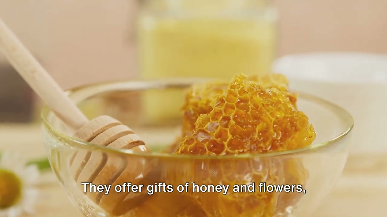 Embrace of the Mediterranean: A Soul's Voyage