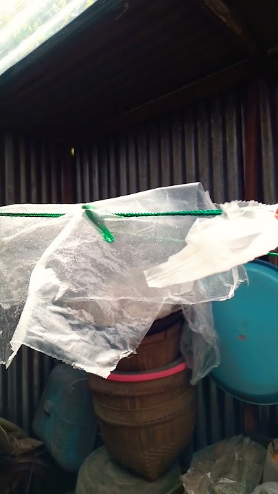 dimulai itu pasti dari sedikit #ecobricks #pilahsampahdarirumah