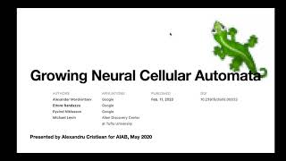 Growing Neural Cellular Automata - AIAB (G6042) - University of Sussex - May 2020