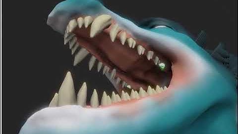 Oculus Medium Speed Sculpt