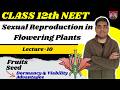 Sexual Reproduction in Flowering Plants | Class 12 | Lecture 10 | Seed and Fruit Formation NEET