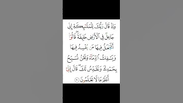 القران الكريم 💯💯😘 #اكسبلور #الرحمن #دويتو #duet #تيك_توك #العظماء #الظروف #beautiful #الثامن