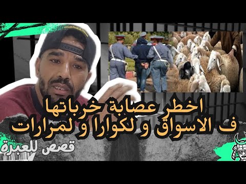 فريد كريعينة ا خ ط ر عصابة خرباتها ف الاسواق و لكوارا و لمرارات