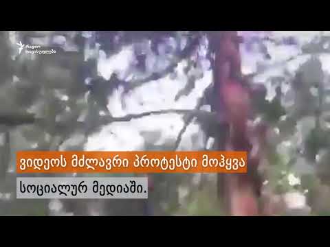 ირანში ქალს ძალადობრივად აპატიმრებენ ჰიჯაბის გარეშე ყოფნის გამო