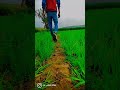 Firstlove 52 Love 18 Lovequotes 5 Loveyou 4 Couplegoals 3 Truel Shotrs