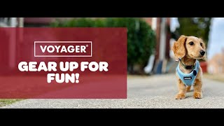Voyager Step in Air Dog Harness   All Weather Mesh, Reflective, No Pull Harness for Sma