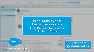 Who Sees What: Record Access Via Sharing Rules (Salesforce Classic) | Salesforce