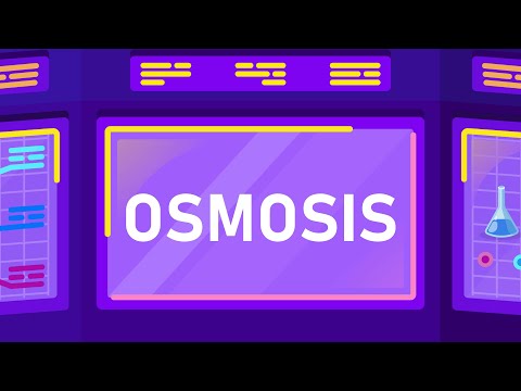 Video: Bagaimana cara molekul bergerak secara osmosis?