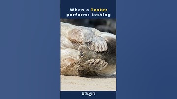 When a Developer performs testing - #softwaretesting #meme | Testguru#shorts