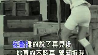 Miniatura del video "劉若英-一次幸福的機會.mpg"